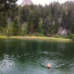 Catching Up on Life: Summer