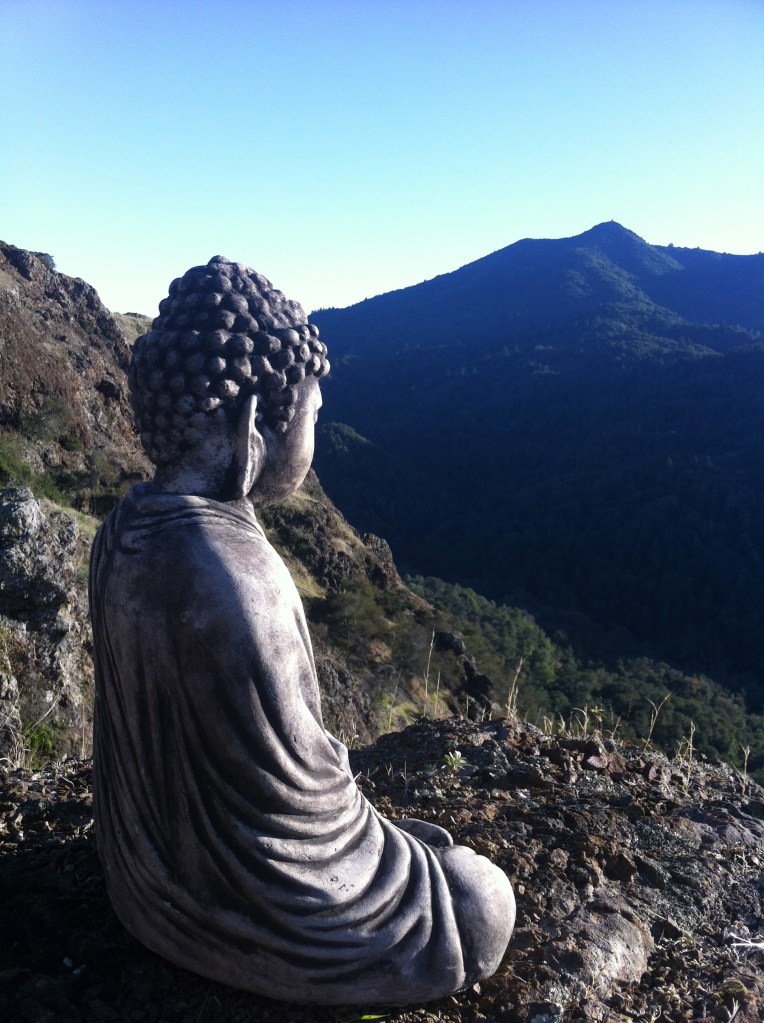 buddaprofiletam